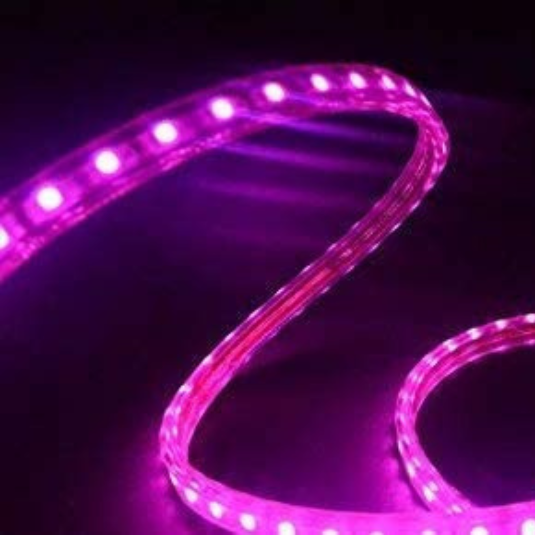Eurotex LED Rope Lights, for Home Decor, Interior Decoration (Pink)