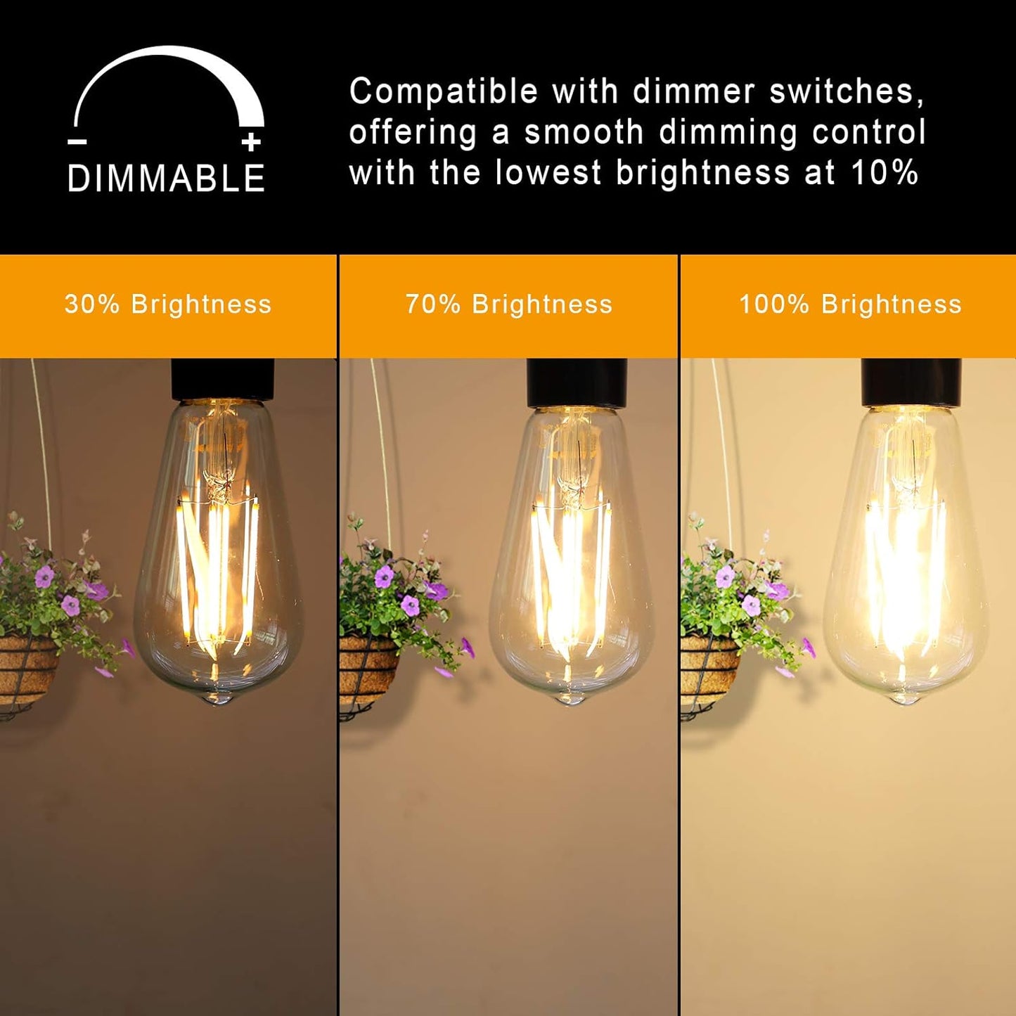 Eurotex 4W Base Filament Bulbs, Warm White, E27 E26 Bulb