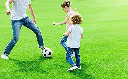 What-are-the-Negatives-and-Positives-of-artificial-grass Eurotex