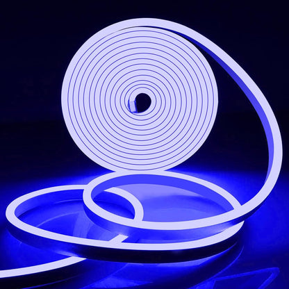 Eurotex 300 LEDs 5M Blue Steady Neon Rope Light (Pack of 1)