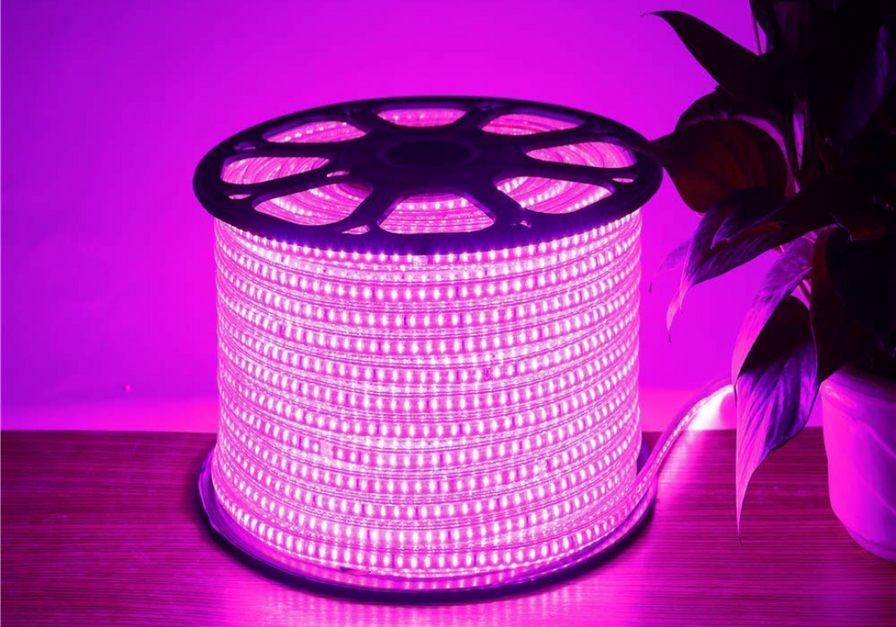 Eurotex LED Rope Lights, for Home Decor, Interior Decoration (Pink)