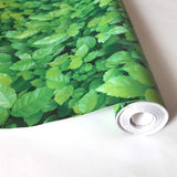 adhesive for wall paper