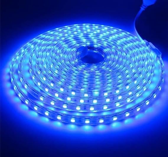 Eurotex LED Rope Lights, for Home Decor, Interior Decoration (Blue) 40M