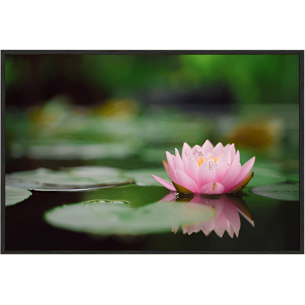 Eurotex Lotus Design 2, Canvas Printed, Wall Art & Paintings