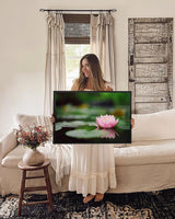 home wall painting