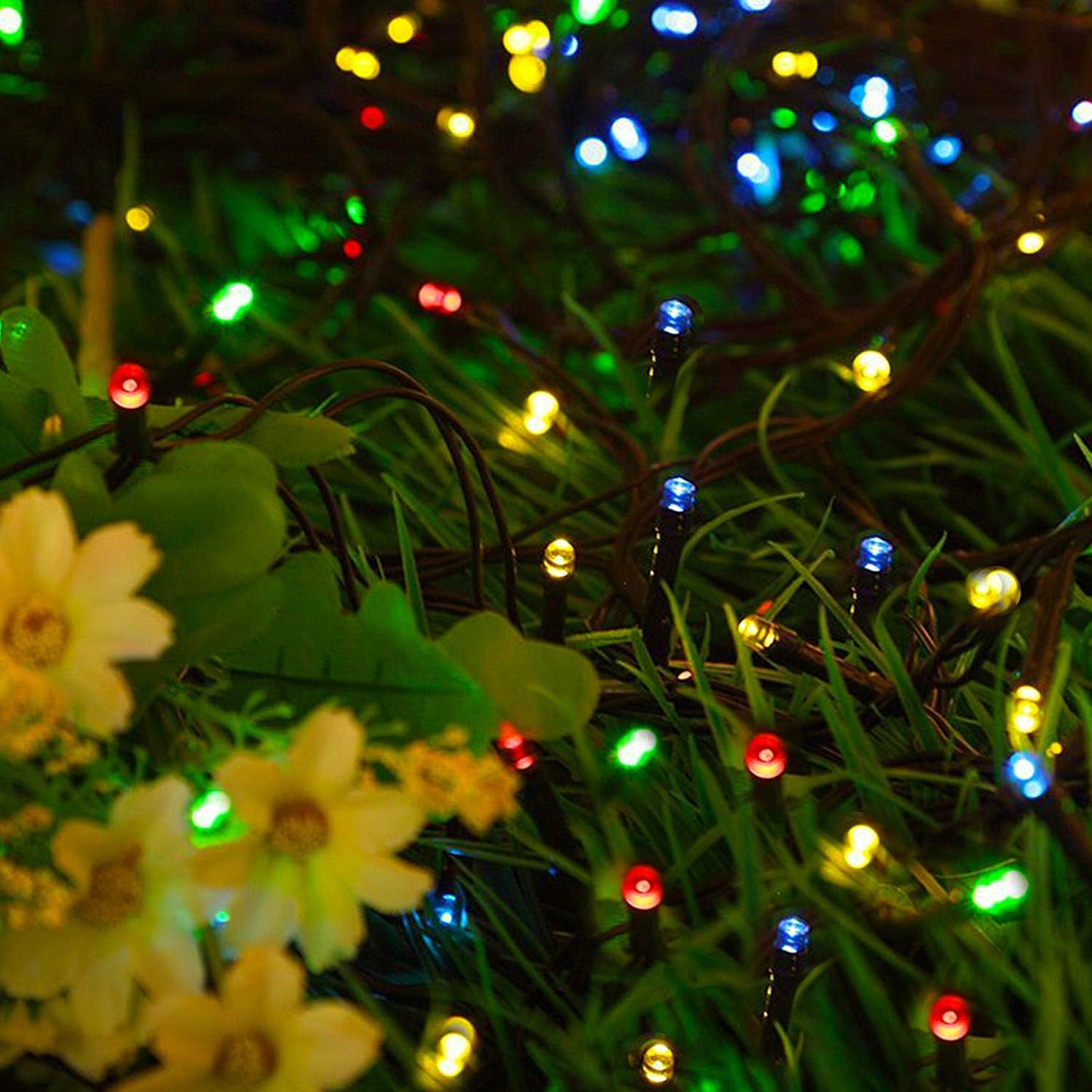 Eurotex Led String Lights 50 Meter Multicolour For Diwali Decoration (Pack of 1)