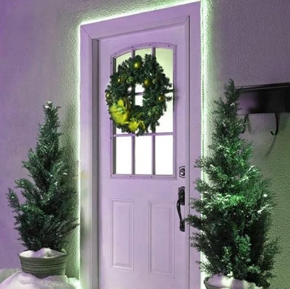 Eurotex LED Rope Lights, for Home Decor, Interior Decoration (Green) 40m