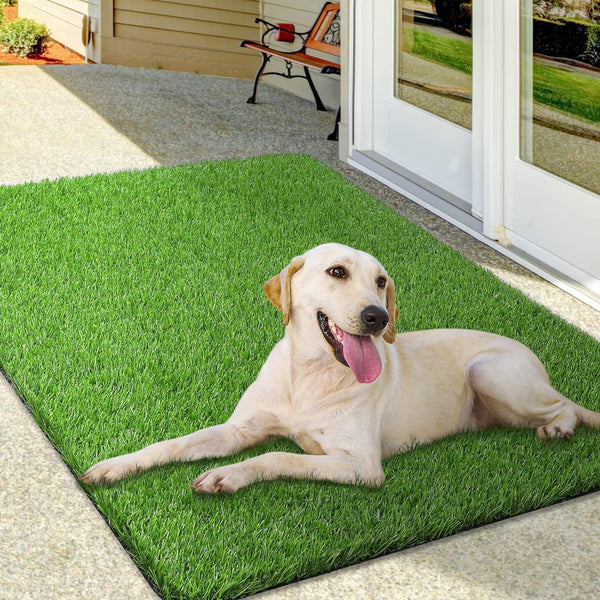 Artificial Grass Matting For Pet | Fake Grass Carpet for Balcony | Lawn Turf for Indoor & Outdoor - 6.5ft x 4ft